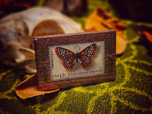 70s Butterfly Stamp Magnet