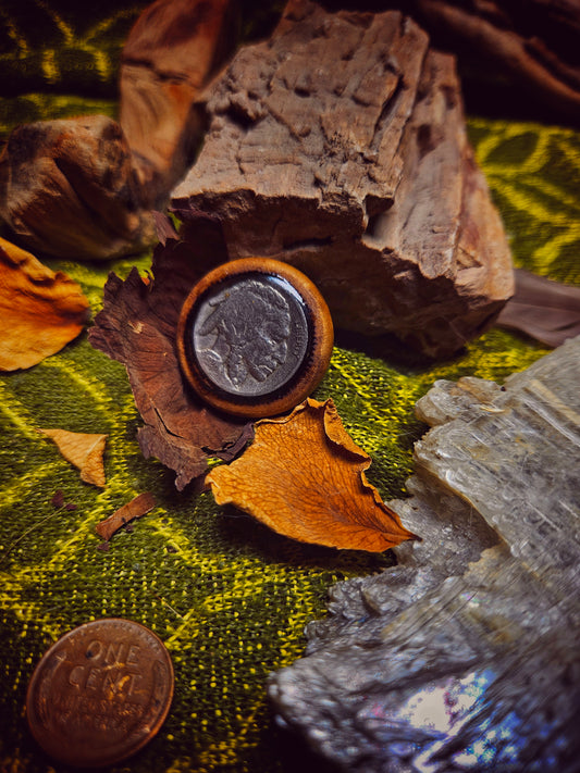 Buffalo Nickel in Wood Necklace